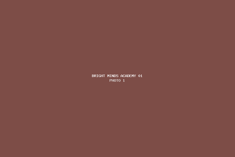 Bright Minds Academy 01