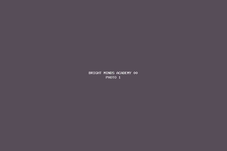 Bright Minds Academy 00